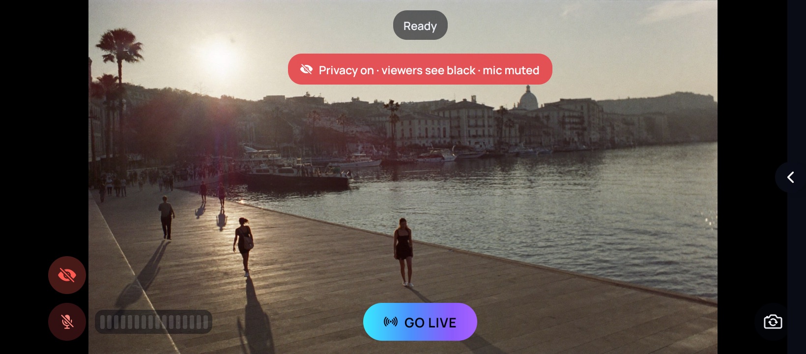 The camera screen with a red bar across the top reading privacy on, viewers see black, mic muted